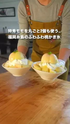 カイセイの九州旅🏃🏻‍♂️👍🏻のTikTok投稿