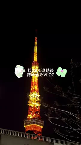 gaeul__bのTikTok投稿
