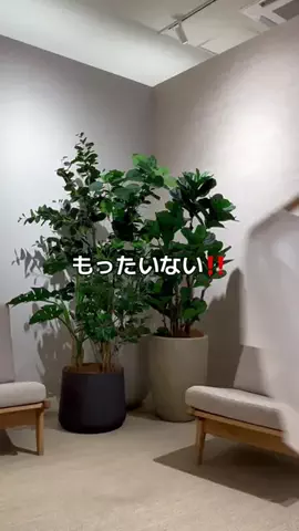 akariのTikTok投稿