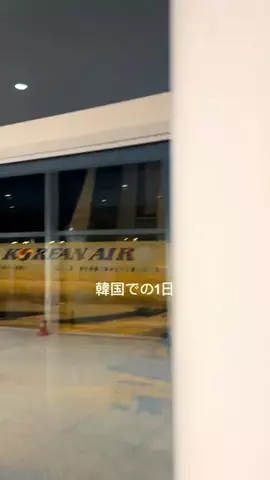 tseve_nのTikTok投稿