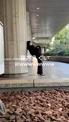 犬は世界を救うのTikTok投稿