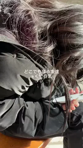 犬は世界を救うのTikTok投稿