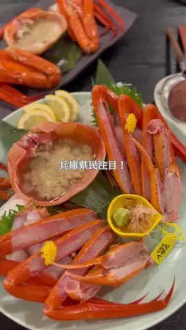 兵庫グルメ／HYOGO SELECTのTikTok投稿