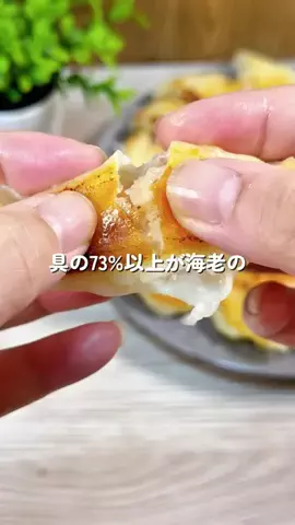 あちこのTikTok投稿