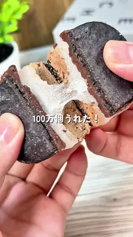 あちこのTikTok投稿