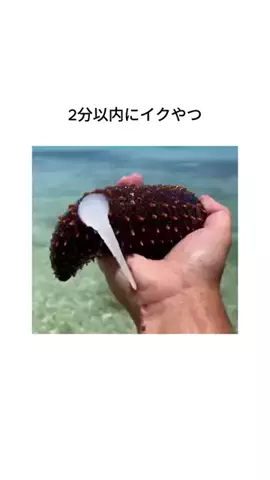 taroのTikTok投稿