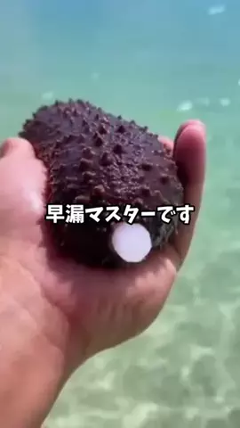 taroのTikTok投稿