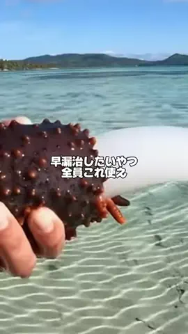 taroのTikTok投稿