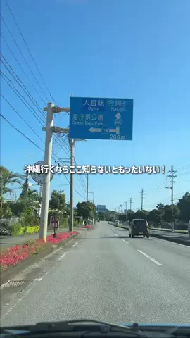 沖縄グルメ／OKINAWA SELECTのTikTok投稿