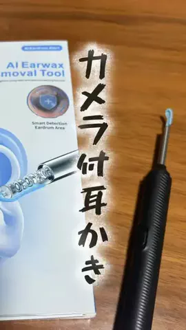 ainewspandaのTikTok投稿