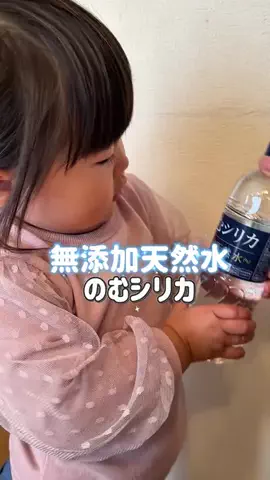 あれんぴファミリー（メイン）のTikTok投稿