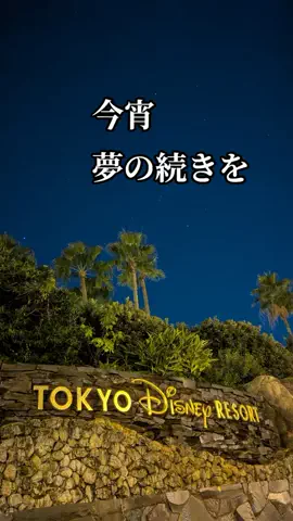 🉐得にゃん🐈‍⬛のTikTok投稿