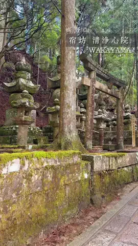 こぺ夫婦🍊和歌山お出かけ、時々旅行。のTikTok投稿