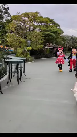 🉐得にゃん🐈‍⬛のTikTok投稿