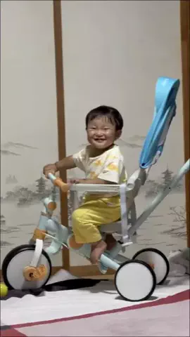 野獣のおっちゃんのTikTok投稿