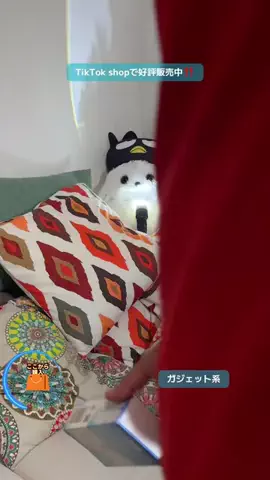 野獣のおっちゃんのTikTok投稿