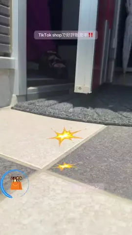野獣のおっちゃんのTikTok投稿
