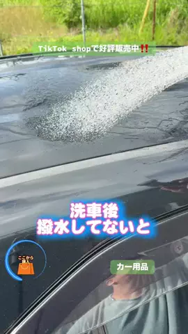 野獣のおっちゃんのTikTok投稿