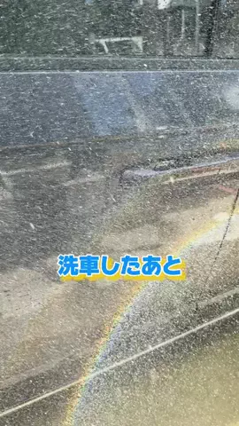 野獣のおっちゃんのTikTok投稿