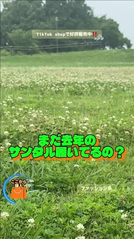 野獣のおっちゃんのTikTok投稿