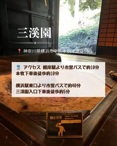裏のみゆきのTikTok投稿