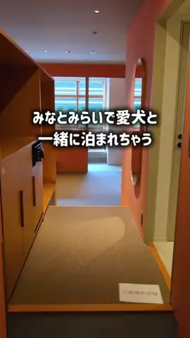 yuukaのTikTok投稿