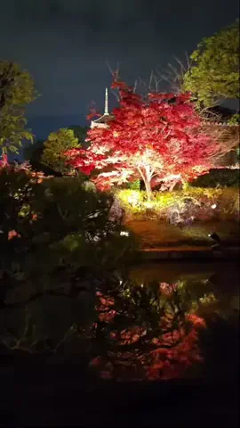 yuukaのTikTok投稿