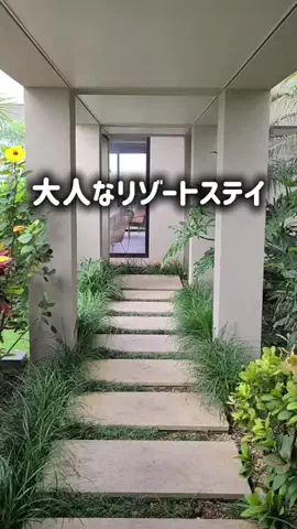 yuukaのTikTok投稿