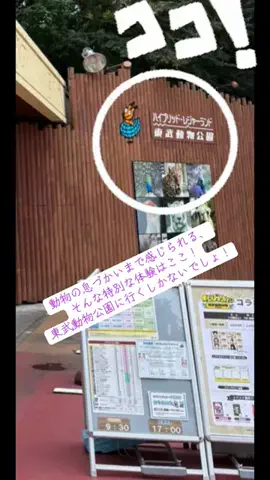 けいちゃんのTikTok PR投稿：#GW国内旅行キャンペーン #PR#TikTokGo #埼玉 #ホワイトタイガ…