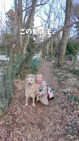 おにゅこじハウスのTikTok投稿