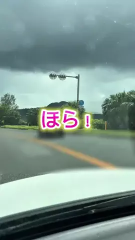 mariko_okinawa_reportのTikTok投稿