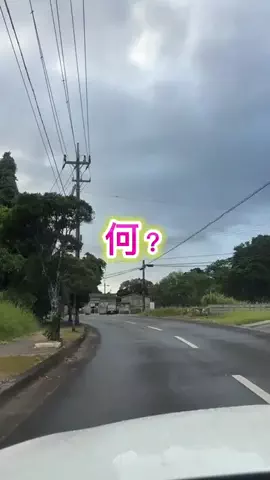 mariko_okinawa_reportのTikTok投稿