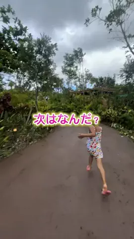 mariko_okinawa_reportのTikTok投稿