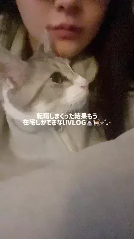 あおまる🐈🩺のTikTok投稿