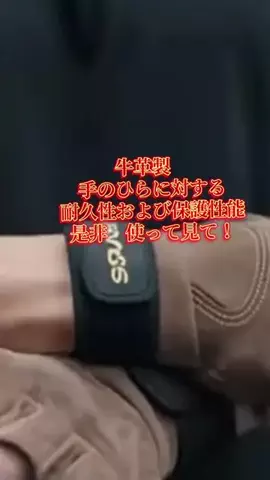 ちーちゃん🎀2匹のわんことハッピー人生のTikTok投稿
