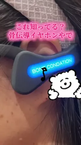 ちーちゃん🎀2匹のわんことハッピー人生のTikTok投稿