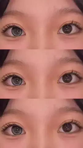 ぽめのTikTok投稿