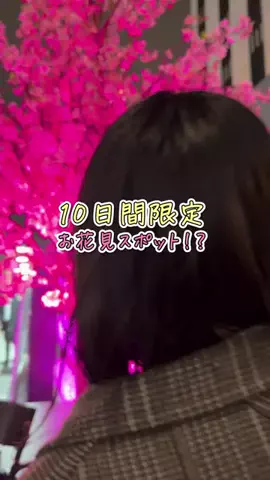 TrendNewsTV｜トレンドニュースTVのTikTok投稿