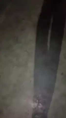 ところてんとんたんのTikTok投稿