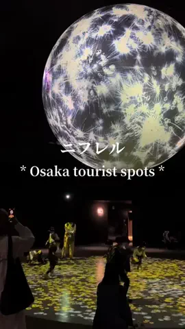 九州🐻 旅する*Twinkle 🩰🫧のTikTok投稿