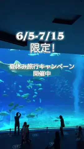 九州🐻 旅する*Twinkle 🩰🫧のTikTok投稿