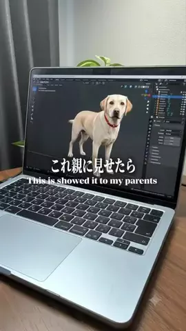 あすか｜iPhoneとガジェットのTikTok投稿