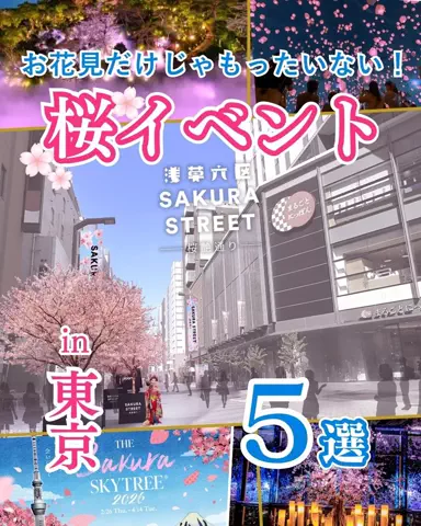 TrendNavi｜トレンドナビのTikTok投稿
