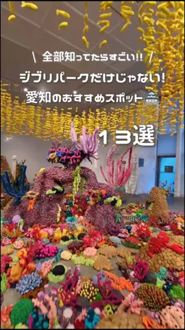 三宅裕子のTikTok投稿