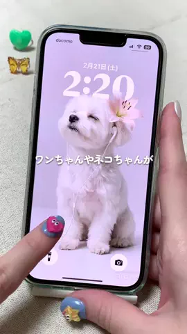 dada_instastoryのTikTok投稿