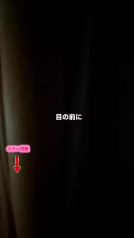 グルメちゃんの旅のTikTok投稿