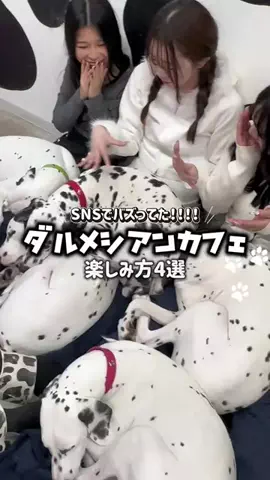 SHIBUYA109のTikTok投稿