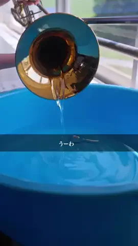 ポチッとドラマのTikTok投稿