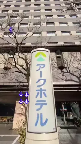 トアンもん　チャンネルのTikTok投稿