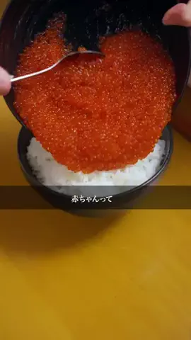 ポチッとドラマのTikTok投稿